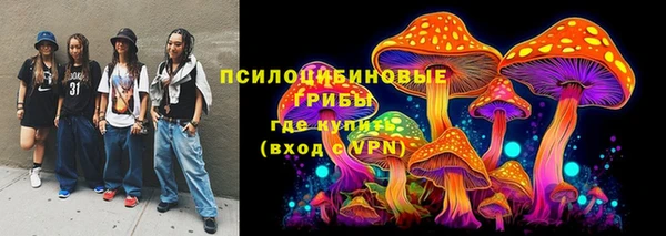 каннабис Инта