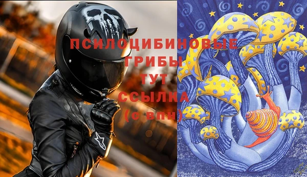 каннабис Инта