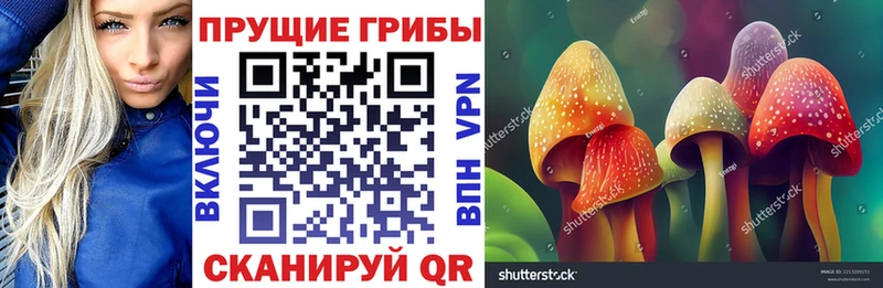 Псилоцибиновые грибы Cubensis Моздок