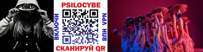 Купить  Моздок  Псилоцибиновые грибы мицелий 